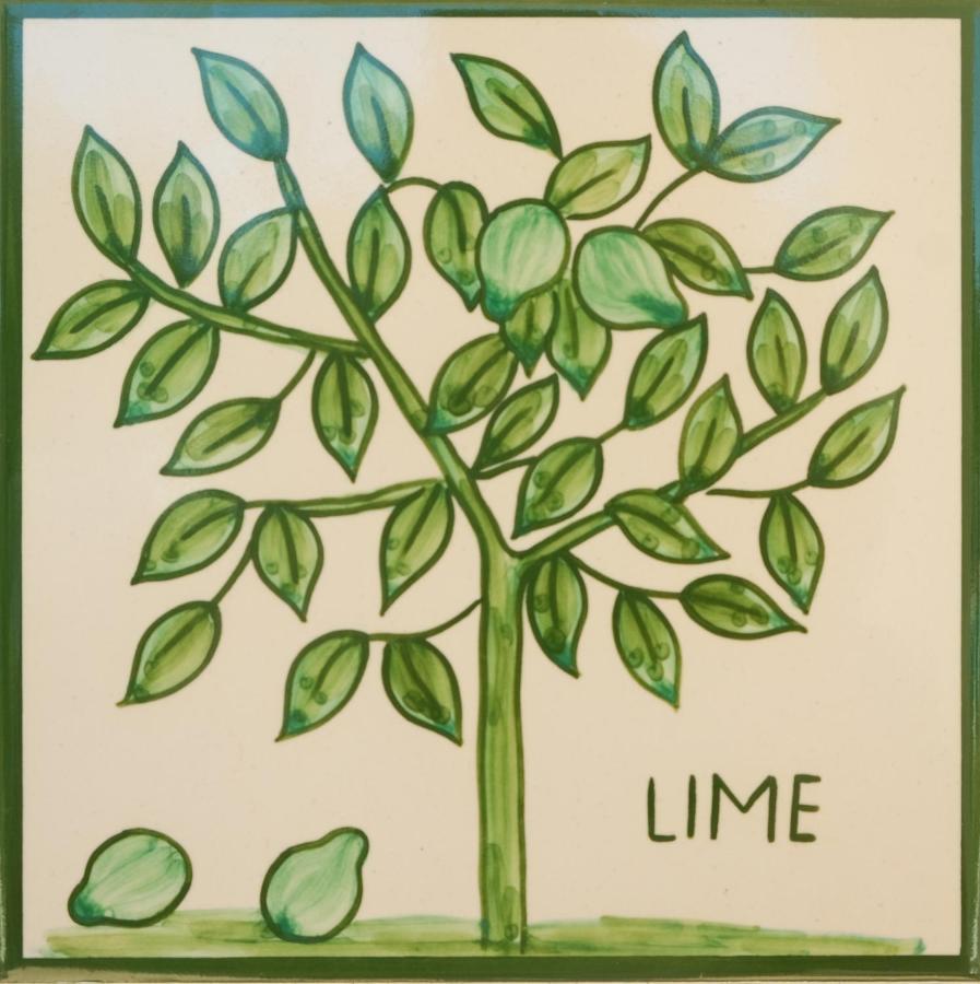 Apartment Cristo - Lime